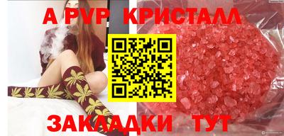 молекула духа Тверь
