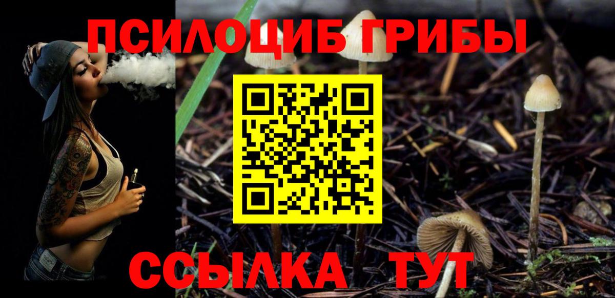 наркотики  Галлюциногенные грибы ЛСД  Галлюциногенные грибы MAGIC MUSHROOMS  Вход с VPN  Новый Уренгой 